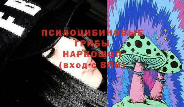 амф Надым