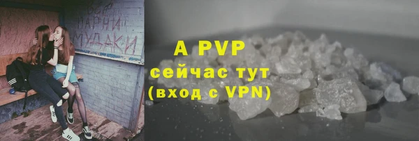 амф Надым